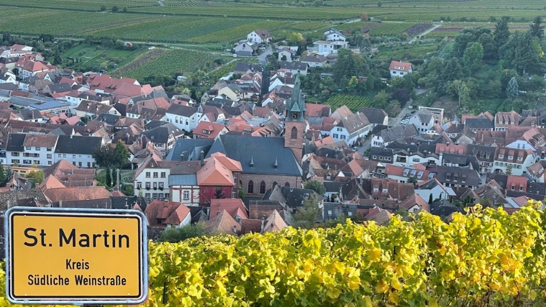 St. Martin ist Wein- und Luftkurort und liegt in den Weinbergen der Südpfalz